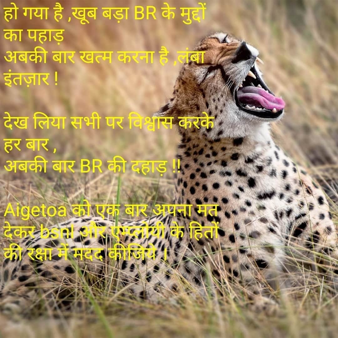aigetoachq's tweet photo. हो गया है खूब बड़ा BR के मुद्दों का पहाड़, अबकी बार खत्म करना है लंबा इंतजार!
देख लिया सभी पर विश्वास करके हर बार,  अबकी बार BR की दहाड़ !
  @aigetoachq  को अपना मत देकर @BSNLCorporate एवं  @BSNL के Employees के हितों की रक्षा करने में मदद करें
Let's be #united_BSNL_Recruits ht https://t.co/79GXvoY7uK