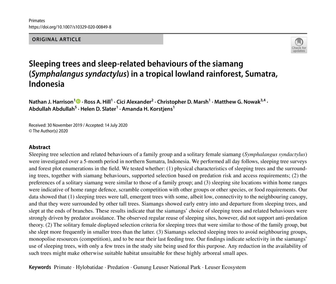 nathanharrisxn's tweet photo. Our new paper (&amp; my first as first-author) on siamang sleeping trees and sleep-related behaviours is now available online! It’s #openaccess so be sure to check it out for all things #siamang, #sleepingtrees &amp; #sumatra 🐒🌳

https://t.co/VGr5NHKnq0 https://t.co/XiS43XmXiB