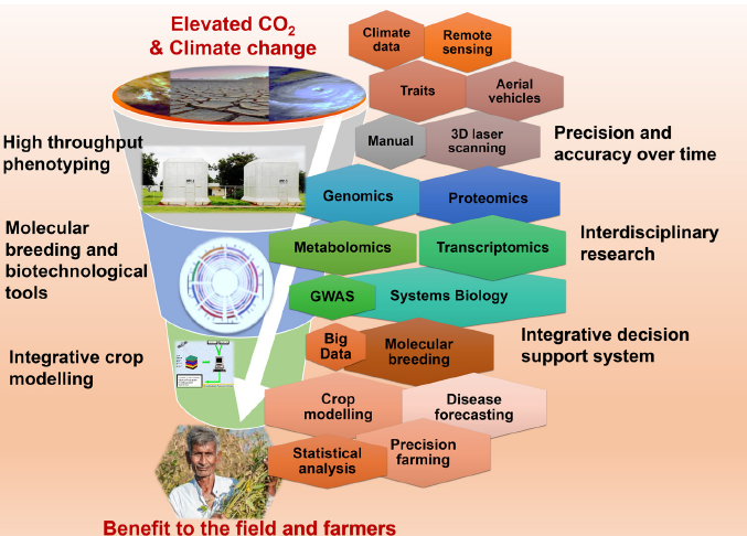 CIMMYT's tweet photo. To cope with the impact of #climatechange on crops, a strategic research framework for crop improvement integrates genomics, systems biology, physiology and crop modelling approaches. Learn more: https://t.co/jn7pSoSSfR
@CGIARclimate @ICRISAT @IPCC_CH https://t.co/u9Fu6VqoVP