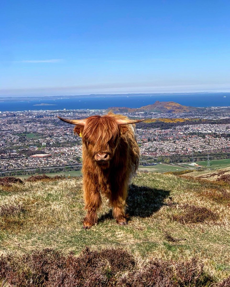 MacBackpackers tweet media