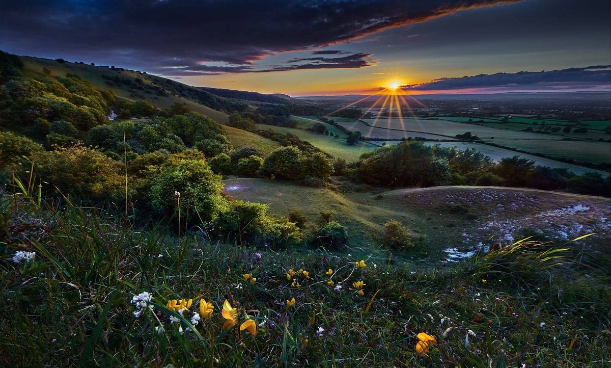 sdnpa's tweet image. It's #WorldNatureConservationDay 

We think this image from Matthew Thomas is a very fitting reminder of what makes the South Downs National Park a unique and special place for wildlife and people. 

#SouthDowns
