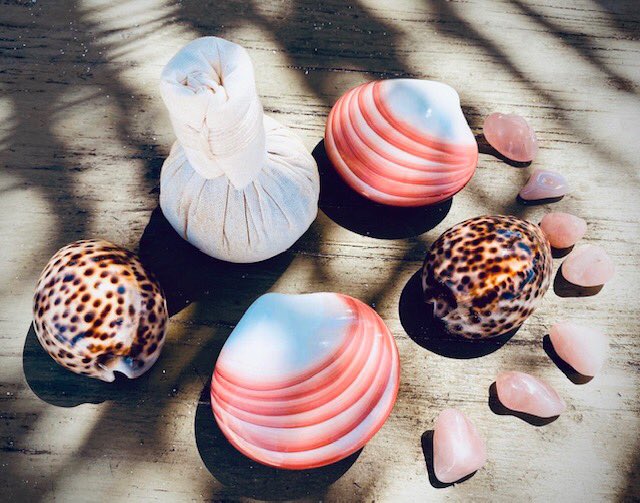 Calling all Spa’s, Salons and Therapists!

Which Lava Shells Treatment/s do you currently offer on your treatment menus? 

Comment below and let us know ☺️
•
•
•
#lavashells #massage #lavalove #facial #pedicure #Spa #Salon #Therapist #Beauty #Treatment #menu #relax #pamper