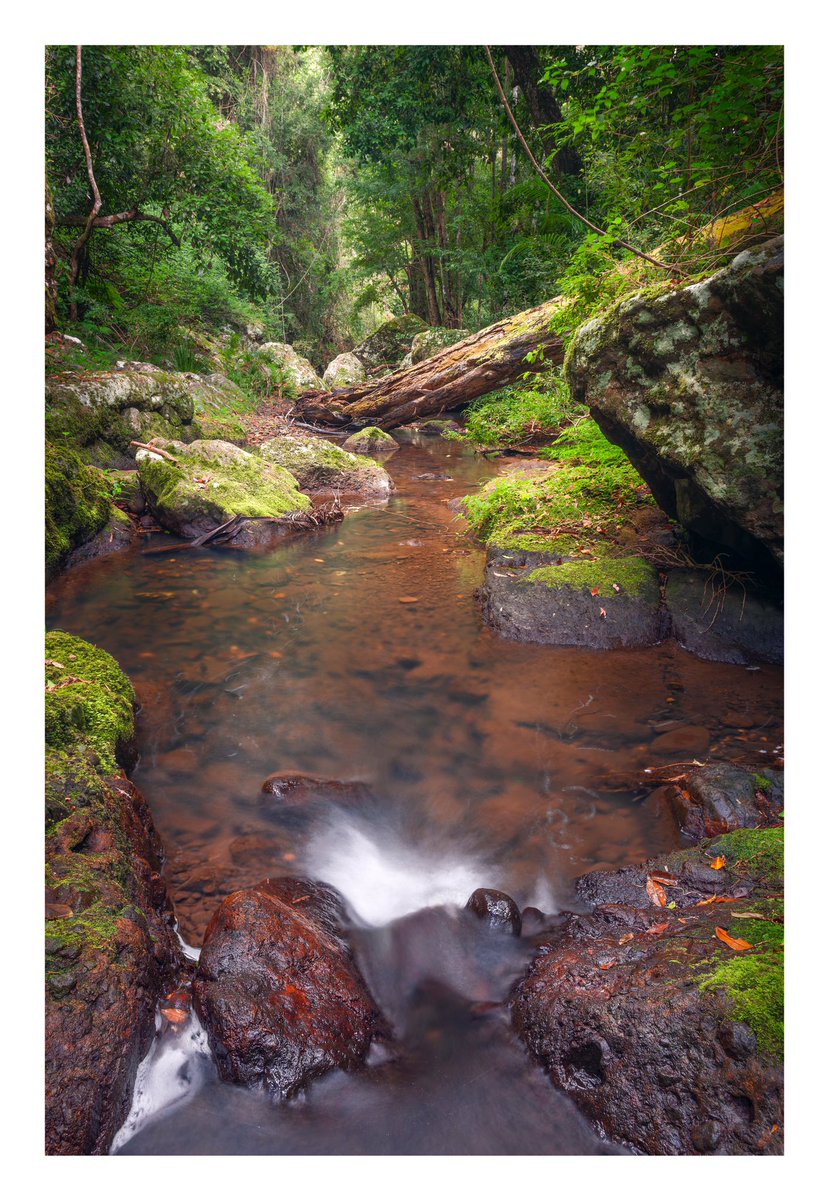 Pavel Kotelevskii Photography tweet media