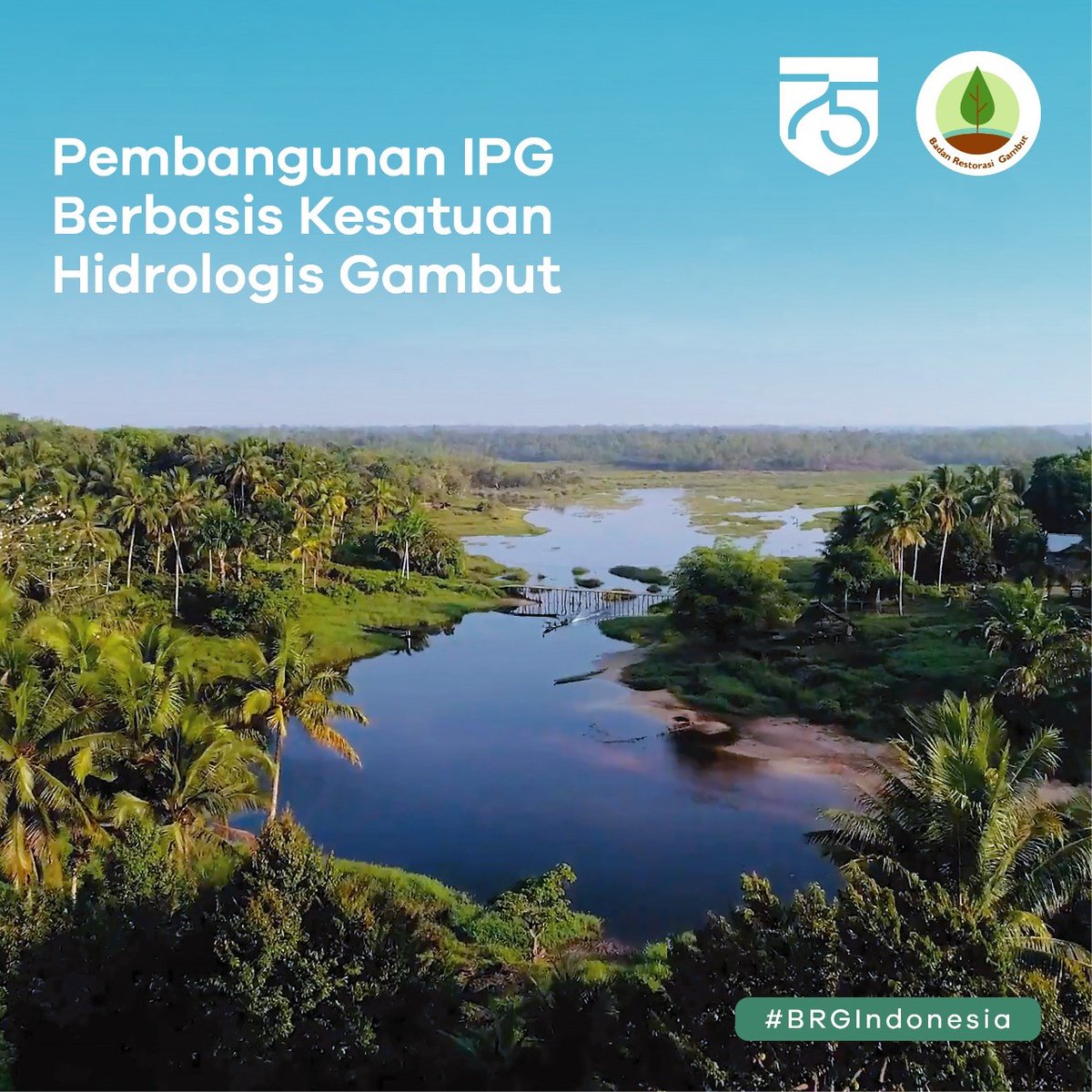 BRGM_Indonesia's tweet photo. Pada tahun 2020, 130 Infrastruktur Pembasahan Gambut (IPG) berupa sekat kanal akan dibangun di Provinsi Sumsel, Jambi & Riau di beberapa KHG
KHG mana saja yang akan dibangun IPG?
#ayojagagambut #BRGIndonesia #kemarau #karhutla #cegahkarhutla #indonesia #gambut #PIPG #IPG2020 https://t.co/xMN7vNIYzf