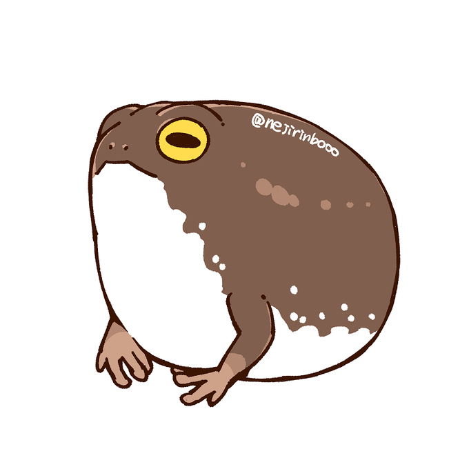 アメフクラガエルのtwitterイラスト検索結果