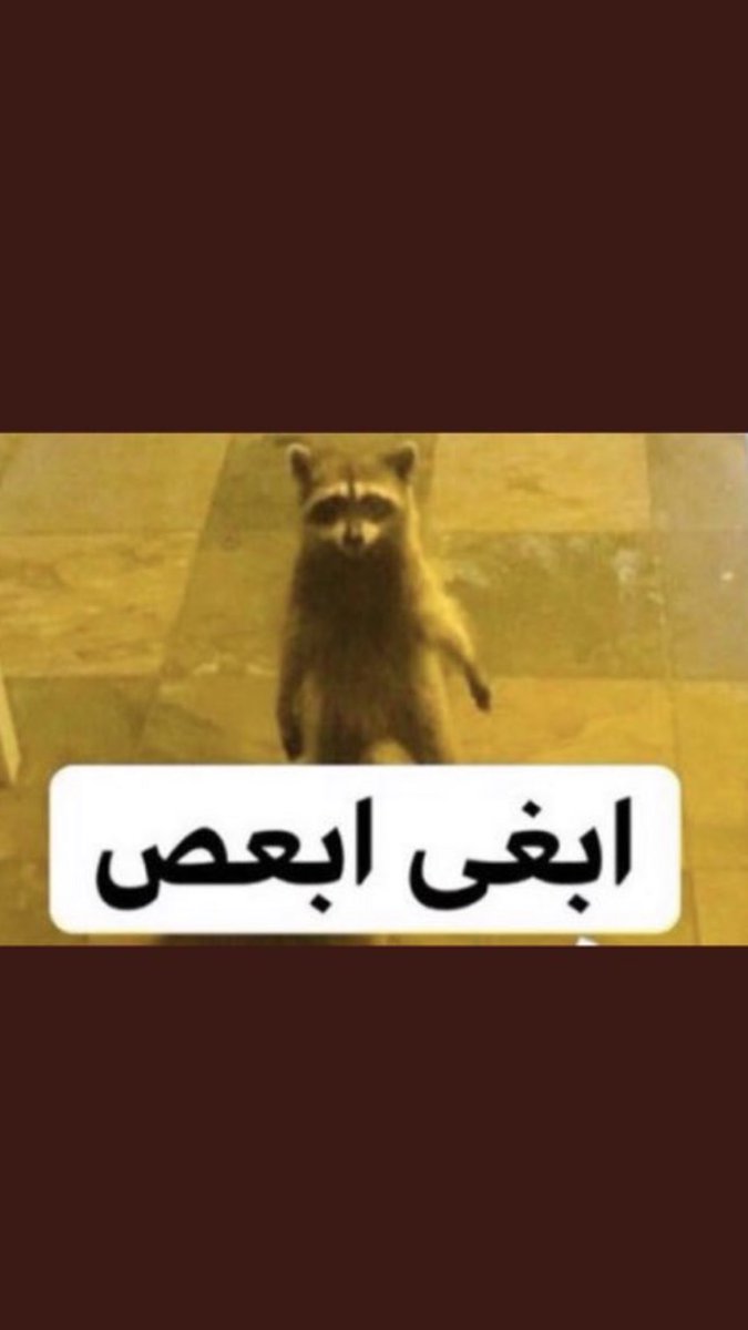 َ tweet media