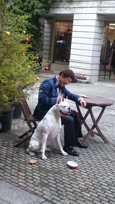 訃報 具志堅用高さんの愛犬 グスマン 天国へ ファンから悲しみの声 まとめダネ 訃報 具志堅用高さんの愛犬 グスマン 天国へ ファンから悲しみの声 まとめダネ