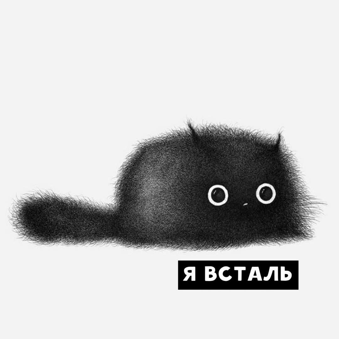 drunktwi's tweet photo. Утро — это: https://t.co/1Q1tB456dq