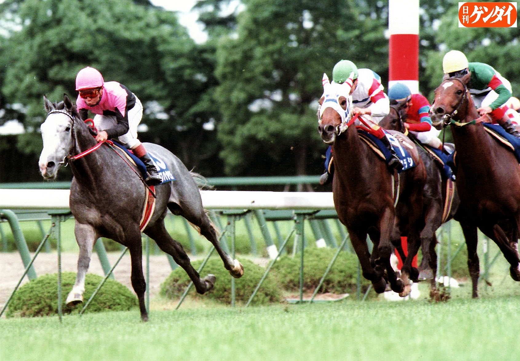 日刊ゲンダイ 競馬 on X: 