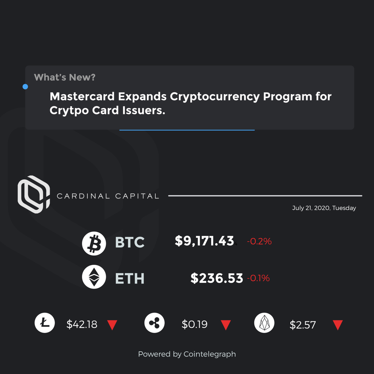 CardinalVC's tweet photo. #cardinalcapital #BTC #Bitcoin #ETH #BlockchainNews #CryptoCurrency #DigitalAsset #PriceUpdates https://t.co/SUoUGAE0bb