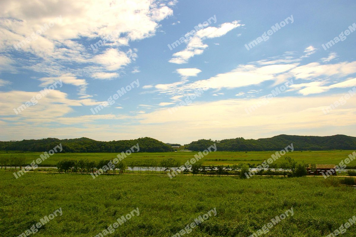 ImgaeM's tweet photo. #個人の写真販売ができる！
#緑と青の境界線
心落ち着く写真。ImageMoryで売ってみませんか？

#imagemory
#photo
#travlephoto
#自然
#感性
#感性的な写真
#写真販売
#作品写真
#写真好き
#写真が好き
#癒し
#癒しの風景
#癒される空間
#緑と青
#心が落ち着く
#自然の豊かさ

https://t.co/INP4esFCe6 https://t.co/nTZJKJIm64