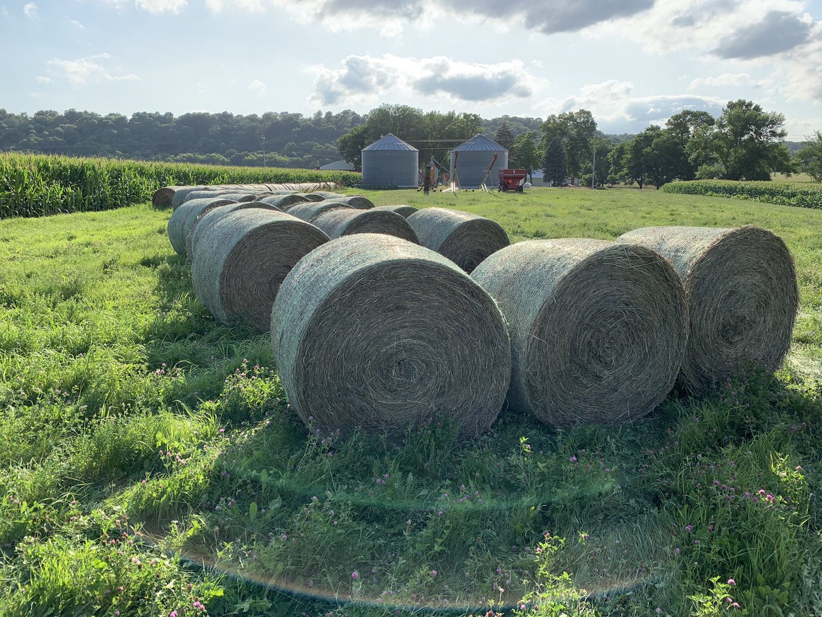 Bry_Davis_'s tweet photo. Twenty-seven five foot round bales loaded and unloaded https://t.co/gar8JczSrb
