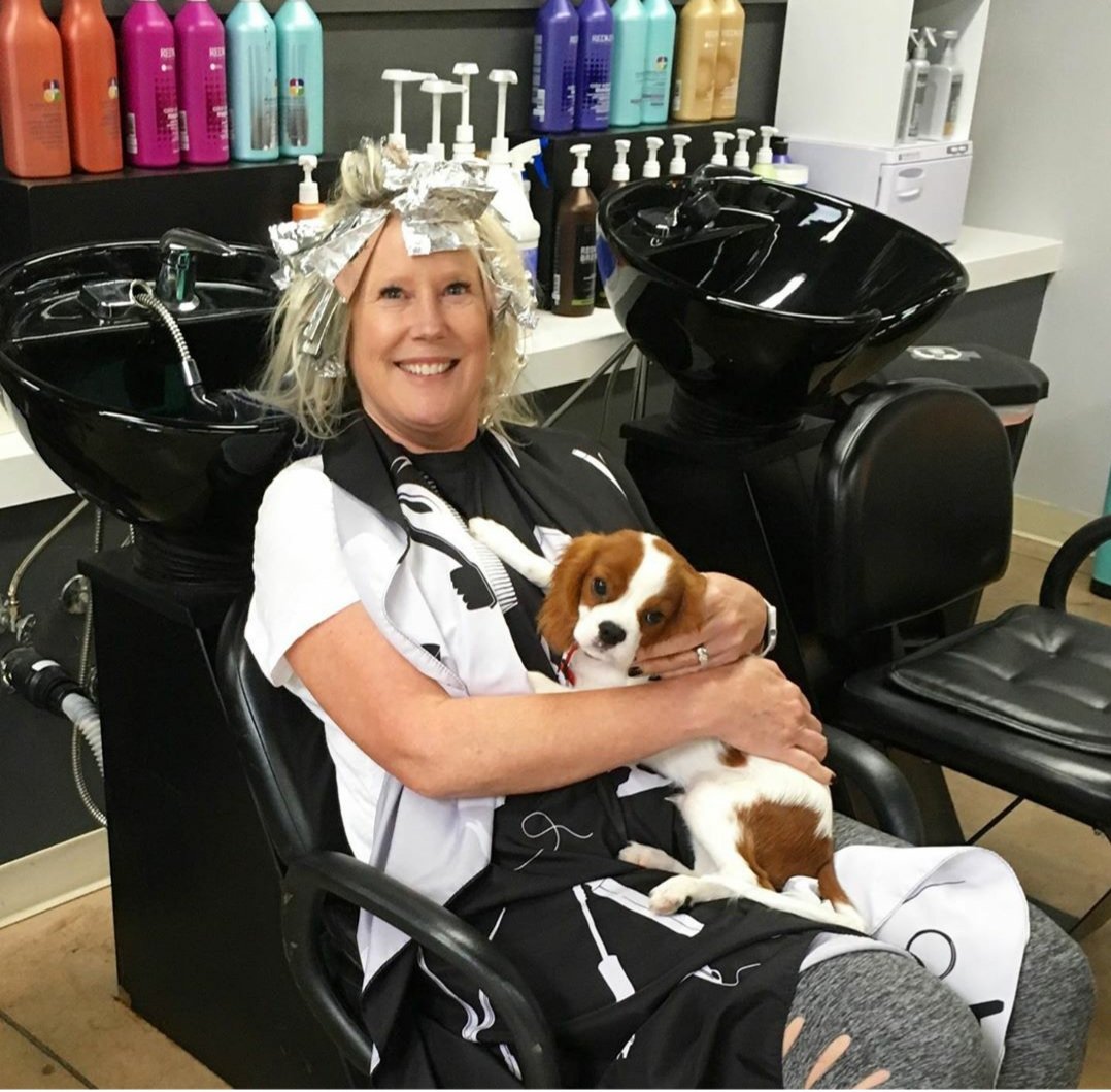 MandMSalon's tweet photo. PUPDATE: we are open! By appointment only, so call now and get your hair all beautified again! https://t.co/4x7zSLCXaq