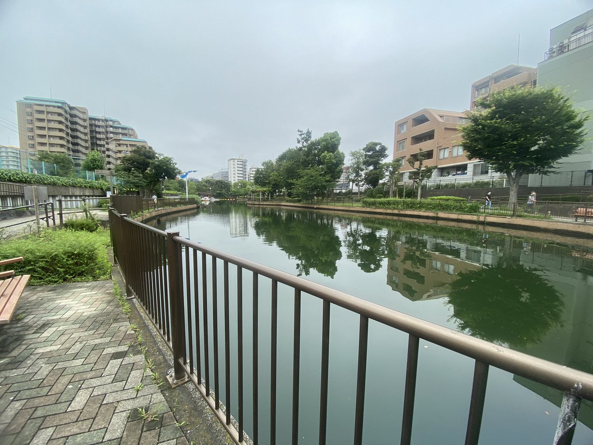 aloha_loco's tweet photo. 仕事に追われた日常に、少し早起きして、通勤途中の親水公園で非日常を取り戻す⁈ https://t.co/0TKisGmgmA