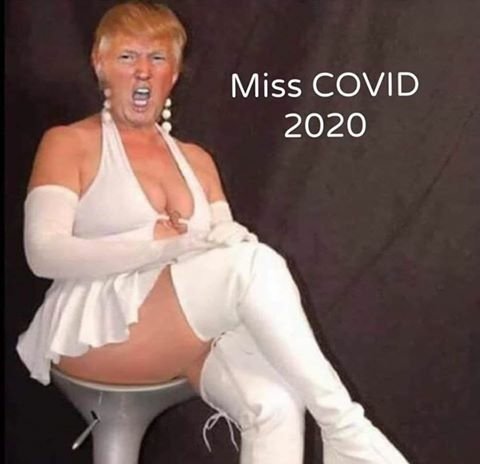 Diamond09085191's tweet photo. @newtgingrich @realDonaldTrump @senatemajldr @kevinomccarthy @kenblackwell @brian_blase @SteveForbesCEO @LafferCenter @StephenMoore @JobCreatorsUSA @VanderbiltOwen You need to include COLD COWARD DRAFT DODGER in your Twitter profile!...do it today! https://t.co/ZiCv6EUcln
