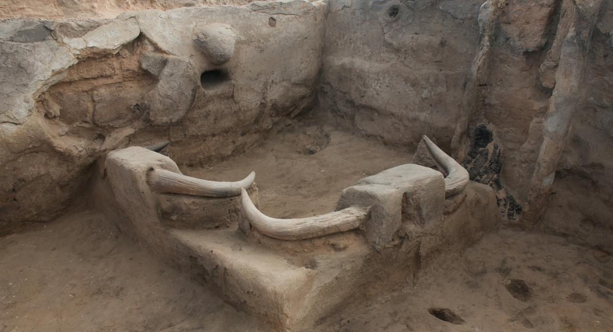 But Çatalhöyük suggests another possibility. Despite two millennia of existence, it never developed writing, any apparent mass rituals or public administration, or organized religion (though a widespread ox-cult has been suggested from the omnipresent bull decorations in homes)