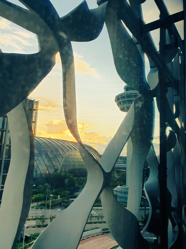 6milesup's tweet photo. Sunrise and I'm off to bed! No point in changing to Singapore time when I can't go out and about 🤷🏼♀️
Goodnight tweeps 🥱 #crewlife #SHN #RoomLockdown #Singapore https://t.co/CdBUqW7CtA