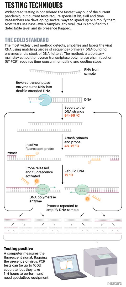 c19ai's tweet image. The explosion of new #coronavirus tests that could help to end the #pandemic nature.com/articles/d4158…