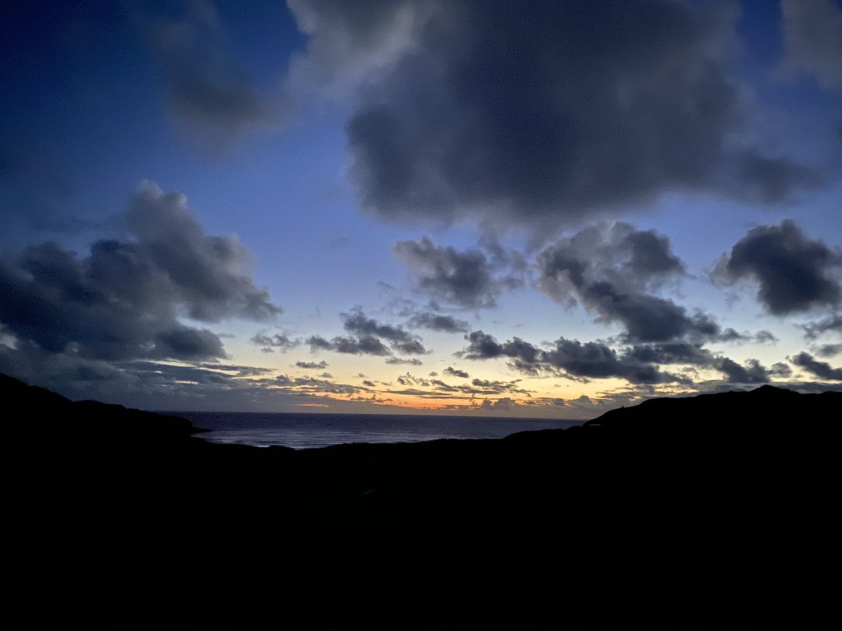 Freshentertainments® tweet media