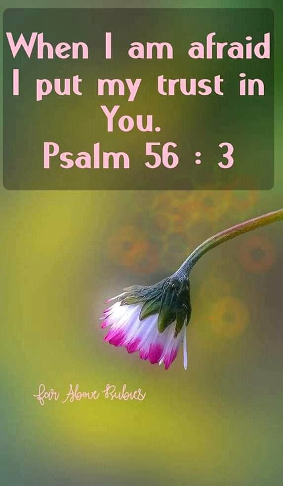 elizabethleysis's tweet photo. Amen #MaineFuntastykKilig #MaineMendoza https://t.co/KYSRvNfCPj
