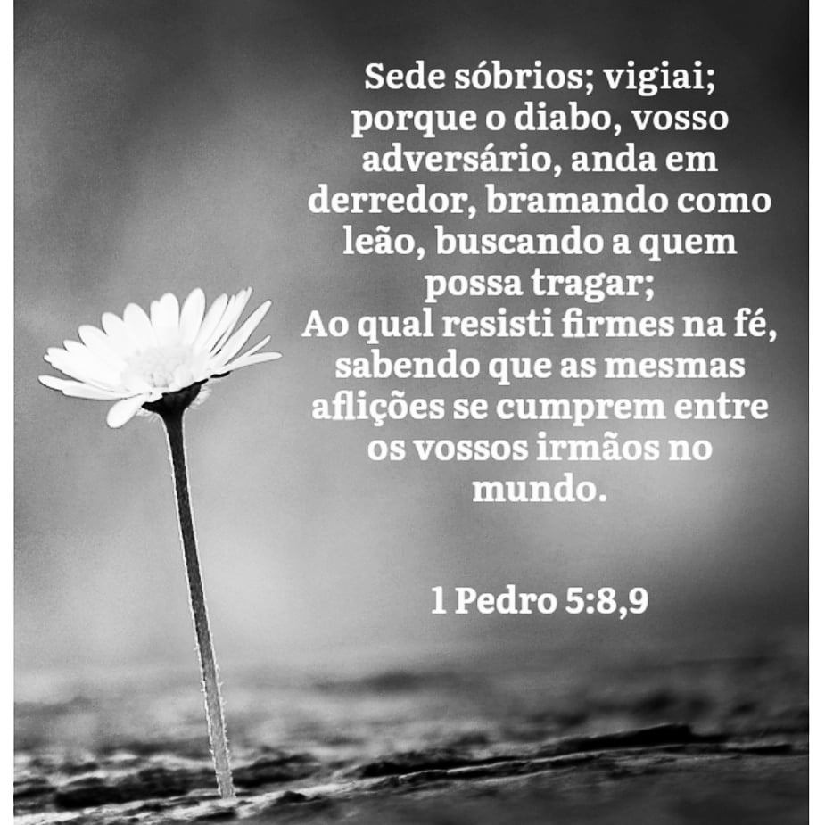 adnipois's tweet photo. Fé, esperança e o amor!
#AqueleDia #RenovadosEmCristoJesus #SomosSim #Emanuel #Entrega #Renúncia #Adnipo https://t.co/o9b8aBRbnW