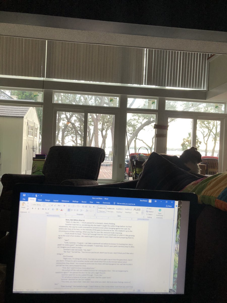 AuthorKRPaul's tweet photo. Sunset, cat, and a WIP. Happy Monday!
#amwriting #amwritingfiction #authorWIP #plotbuilding https://t.co/V6zyIyjUQh
