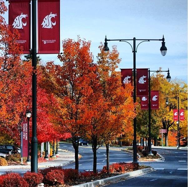 CougSportsNet's tweet photo. Pullman in the fall >> https://t.co/I65WkPJ72P