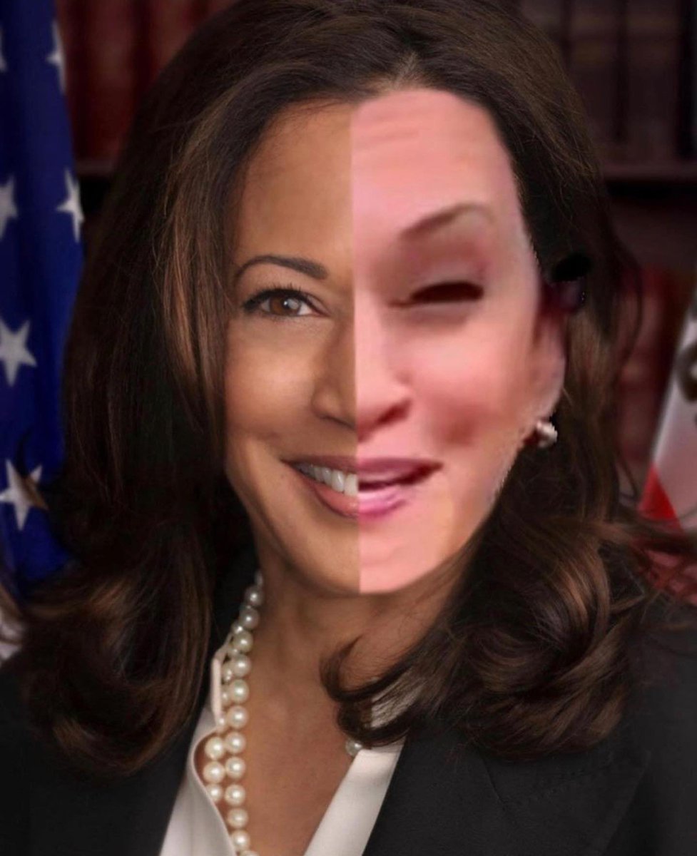 Now back to K. Harris. I am in firm belief that her recent appearance is in fact the work of a deepfake. The side by side still pictures help sell this idea. Whoever filled in for Harris was certainly more expressionate & thus caused this Deepfake to be less convincing.12/16