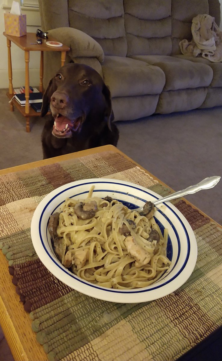 ConDistForester's tweet photo. Timber just wants a taste #goodboy #timberdog https://t.co/rB3ol0yAtm