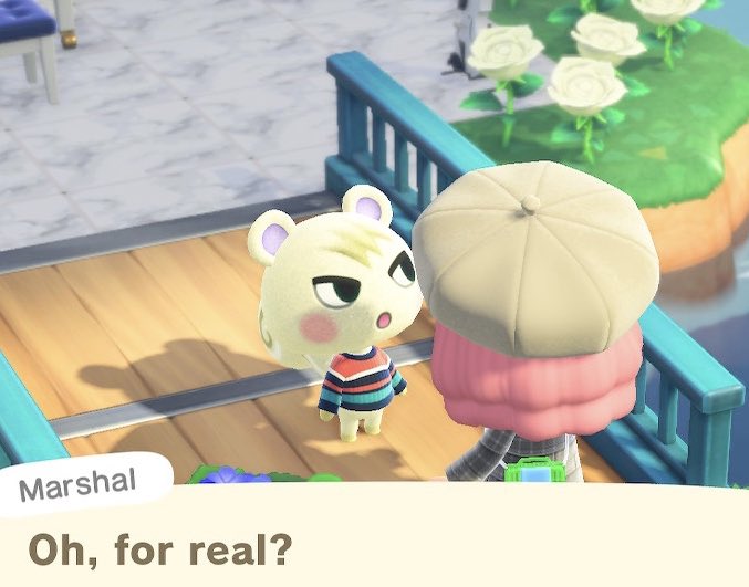 virtuousisland's tweet photo. Marshal appreciation tweet 😭✨🙏🏼💛 That's it, that's the tweet. Look at him working out with the fam 🌴💞 #ACNH #AnimalCrossingNewHorizons #ACMarshal https://t.co/CU4ZKlxt6E