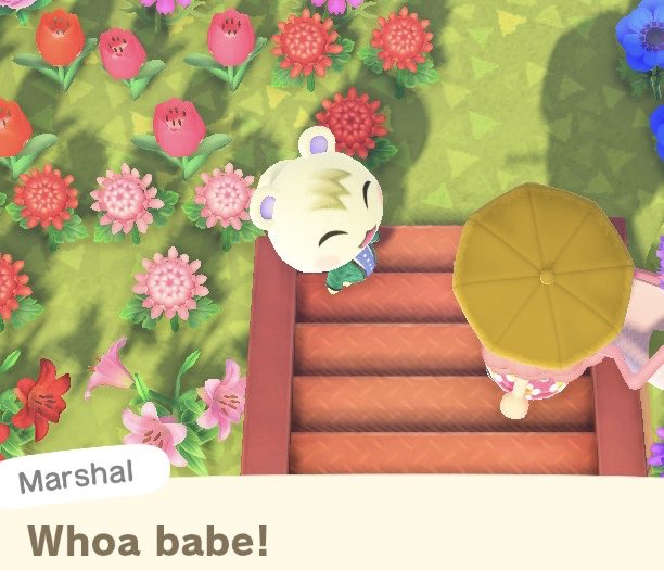 virtuousisland's tweet photo. Marshal appreciation tweet 😭✨🙏🏼💛 That's it, that's the tweet. Look at him working out with the fam 🌴💞 #ACNH #AnimalCrossingNewHorizons #ACMarshal https://t.co/CU4ZKlxt6E
