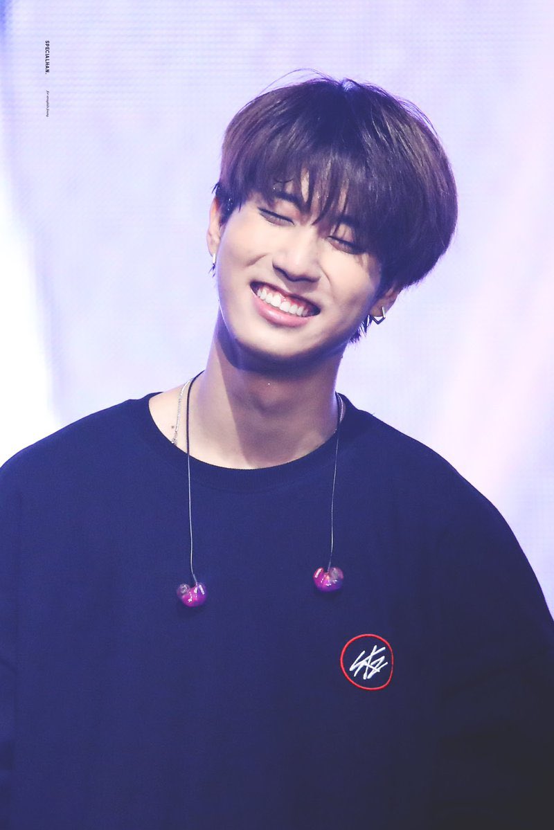 stray kids : han jisung