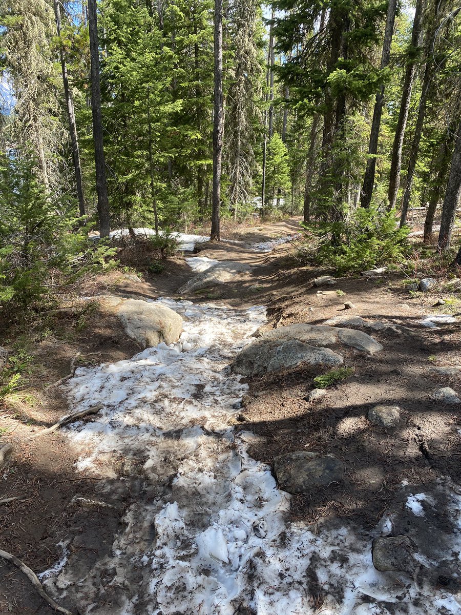 Mal Pal💫 tweet media