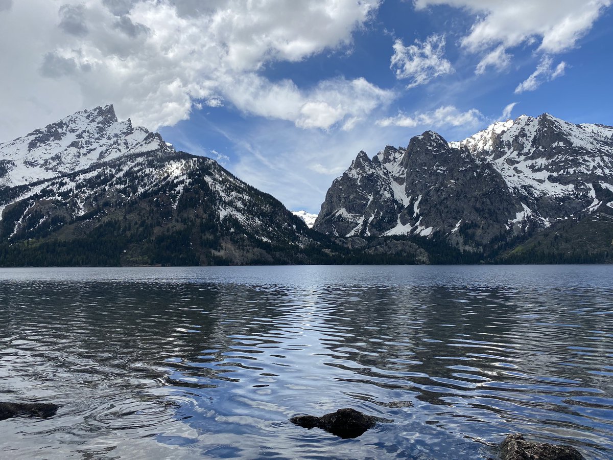 Mal Pal💫 tweet media