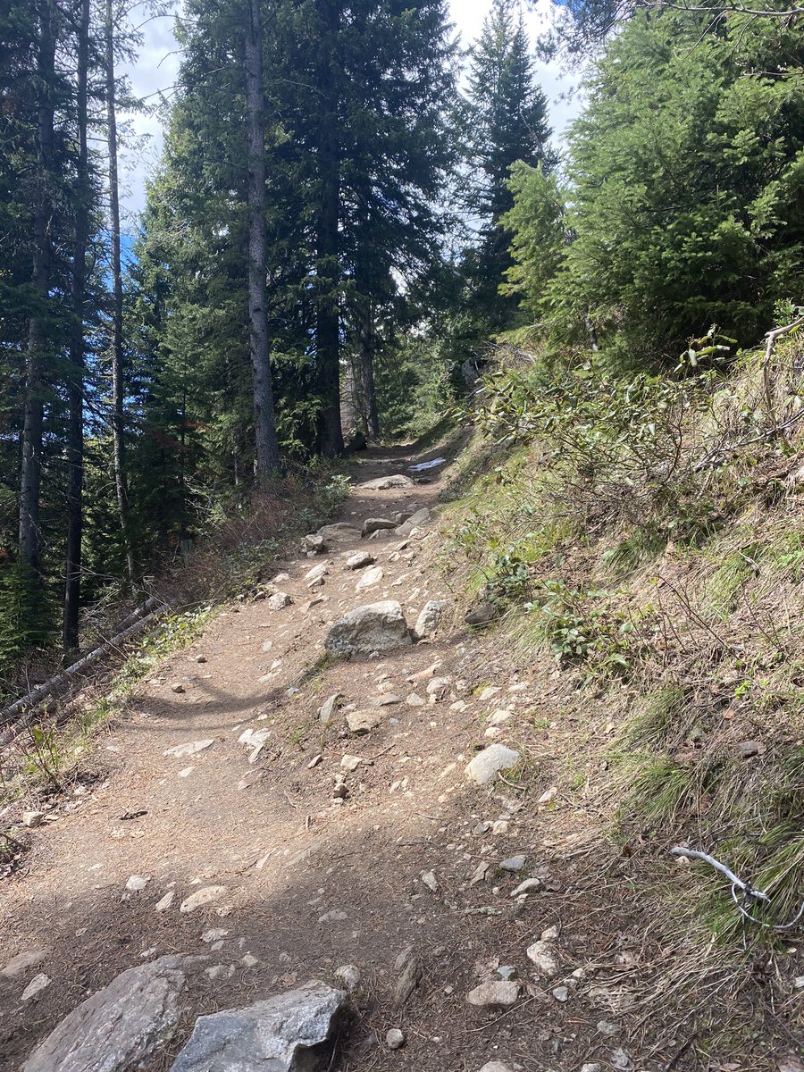 Mal Pal💫 tweet media