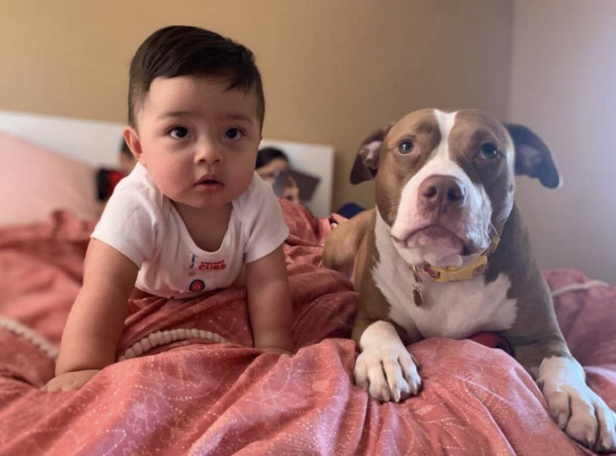 chinii45's tweet photo. #Bestfriends #Santiago #Novalee #Hisprotector https://t.co/w8ovYXPIdR
