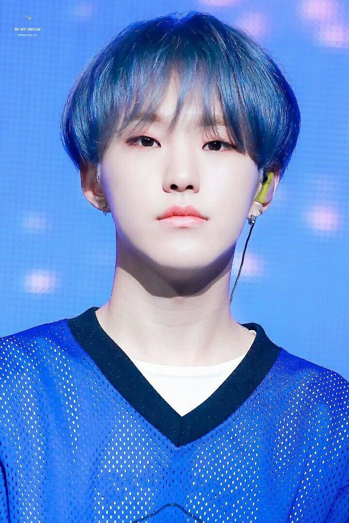 seventeen : hoshi