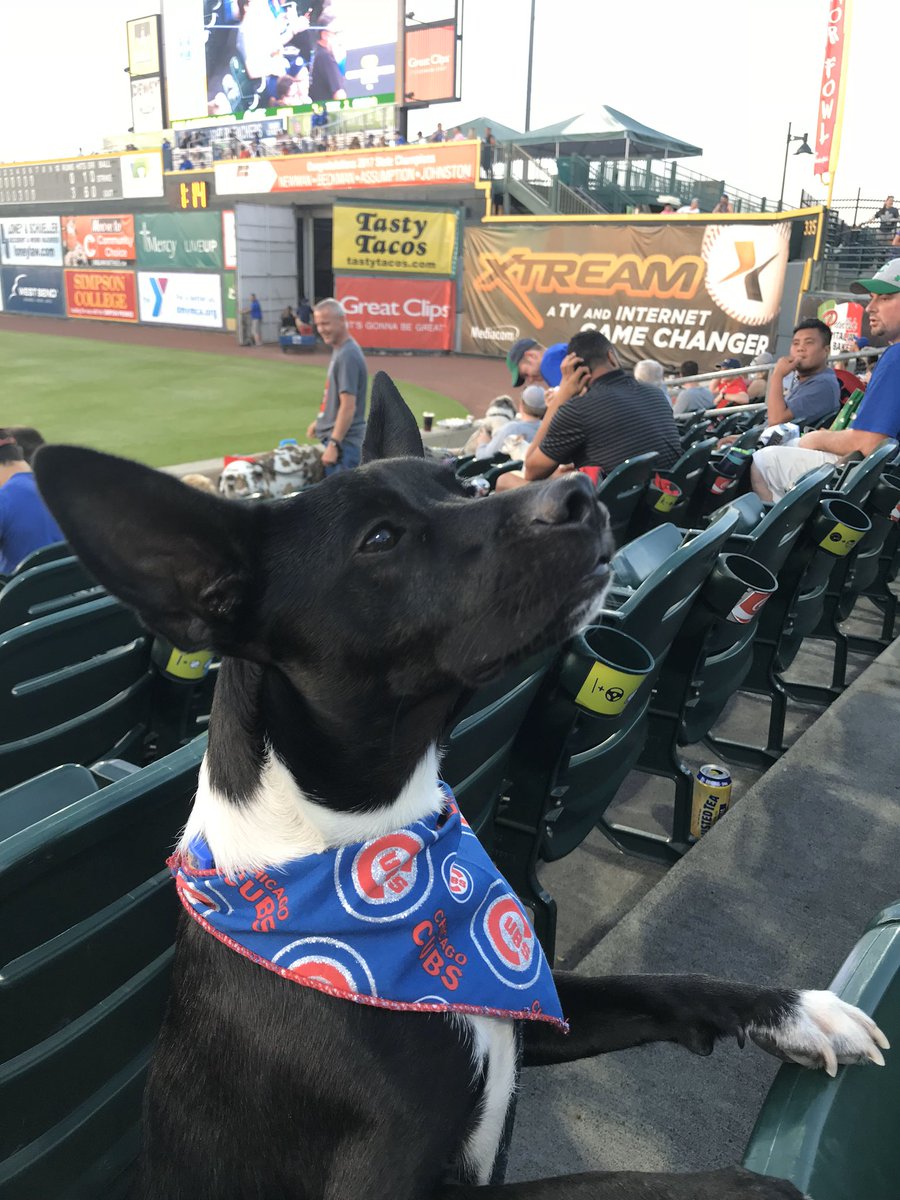 AliF1423's tweet photo. @IowaCubs https://t.co/bzrpmrDvPk
