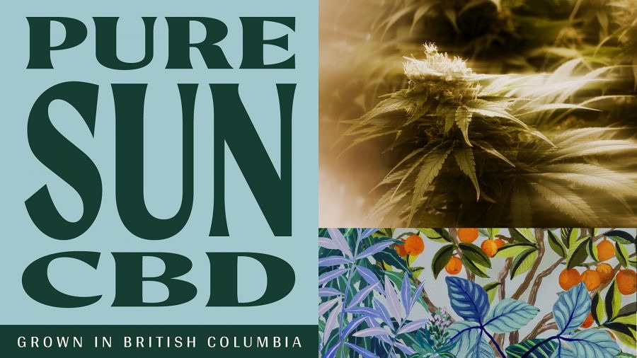 SummitCanCo's tweet photo. Chosen for its strong CBD potential (and less than 1% THC), Pure Sun CBD is a hand-selected phenotype of the Cannatonic strain, itself a hybrid of Reina Madre and NYCD.
#GrownInBC #Cbd #CbdFlower @Puresunfarms #NiceBuds #Revelstoke #Fernie #ShopLocal #Cannabis #PricedRight https://t.co/Uwz1aK14Hh