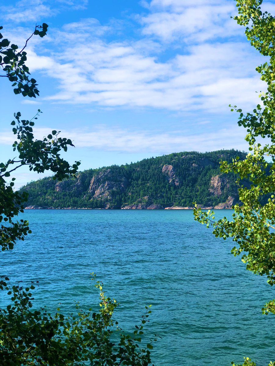 TakeFragz's tweet image. Memories already being made @jessicaweedmark #camping2020