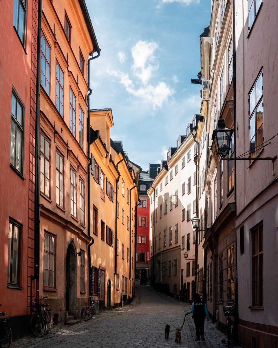 AdvMachineSC's tweet image. Travel through time as you wander the winding cobblestone streets of Gamla Stan in Stockholm, Sweden. The well-preserved medieval city features historic buildings, Baroque palaces, and picturesque churches.

Do you have a favorite street or alley in Gamla Stan?