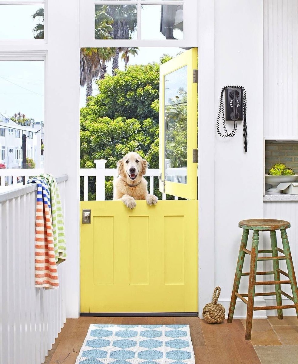 PeakProducts's tweet photo. Happy Monday! We hope it isn't too ruff 😜 
.
📸 @dominiquevorillon
.
Curated by @countrylivingmag
.
.
.
.
.
#monday #yellowdoor #brighthome #dog #dogsofinstagram #newweek #chinup #ruffday #petsofinstagram https://t.co/O0JjxCMqp3