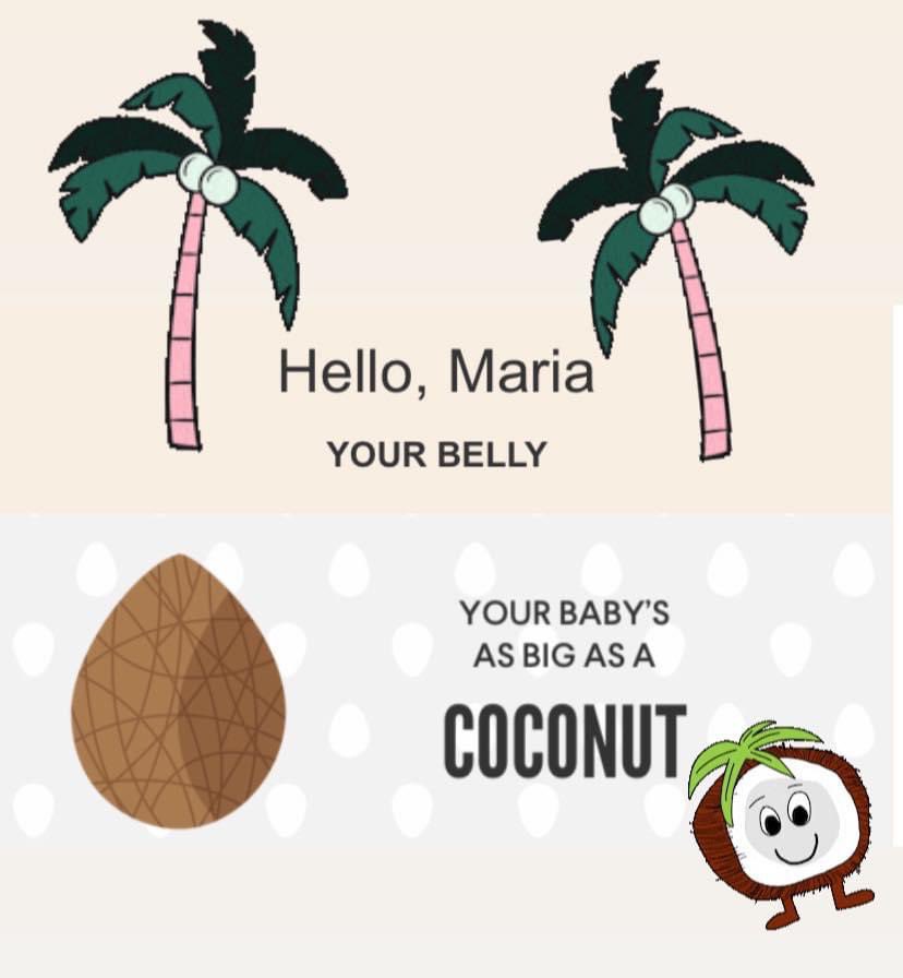 TheMariaStarr's tweet image. Our baby is the size of a 🥥. I’ve gained 10 pounds and my favorite food is Chick-fil-A chicken biscuit. 🤦🏻‍♀️ #22weeks