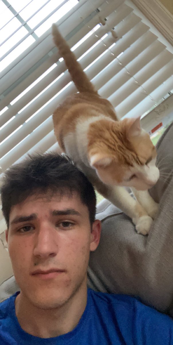 patholmes24's tweet image. Absolute goat