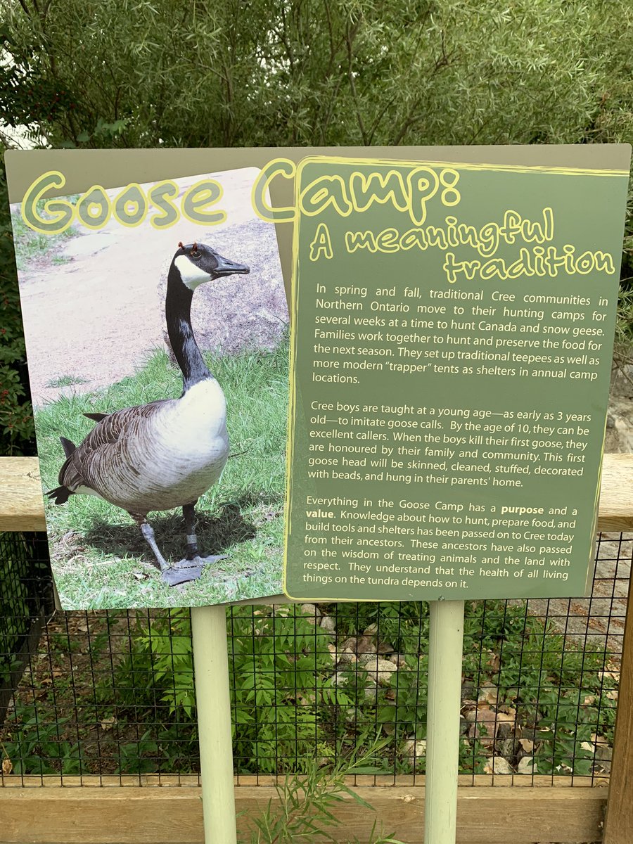 brettmking's tweet photo. @DaemZero @ErrorJustin @Samuel_IGN Seen at Toronto Zoo. “Everything in the Goose Camp has a purpose and a value” https://t.co/RPhPGwp6sm