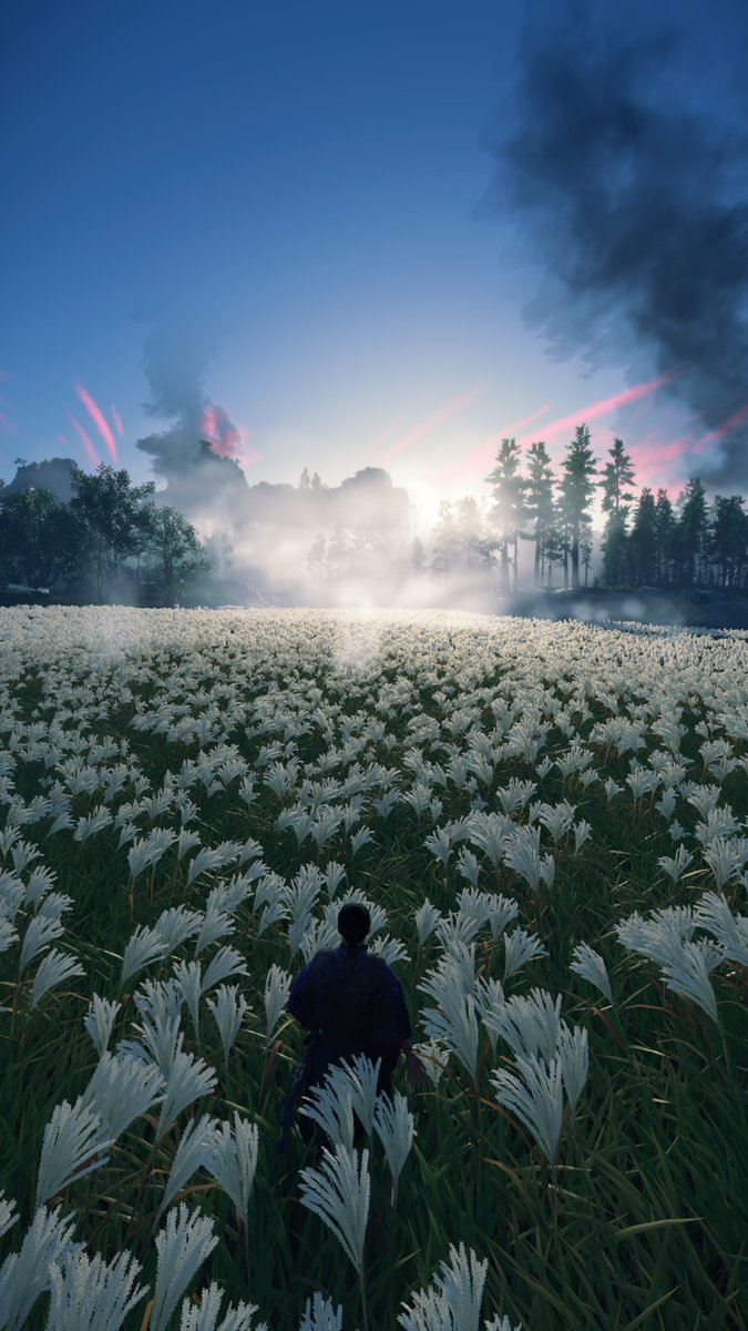 #GhostofTsushima is hands down one of the most visually pleasing games I've ever played.

#PS4Pro