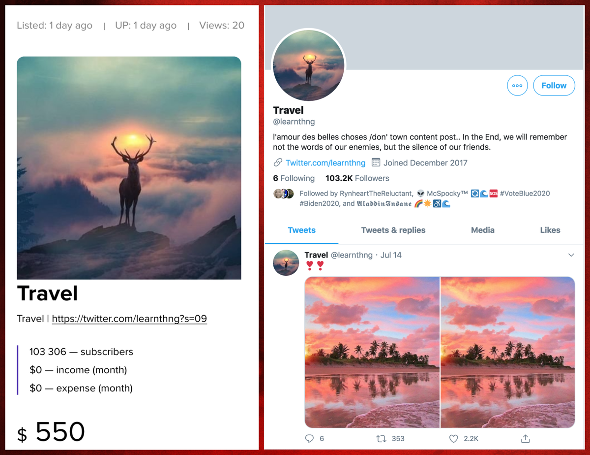 It's a new day, and  @learnthng could be yours for only $500. Although its 103K followers lack the usual 2009 spike in account creations, they don't look obviously fake, and who wouldn't want to follow an account that posts memes and pretty photos, even if it doesn't follow back?