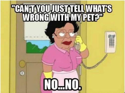 vet_raw's tweet photo. #vettech #vetmed https://t.co/Xs3jLhlj1C