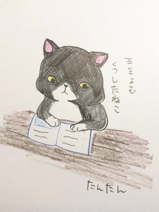 本を読むくつしたねこ#お絵かき #イラスト#猫#色鉛筆 