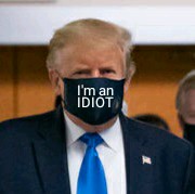 DaRealRuss's tweet image. #trumpconspiracy